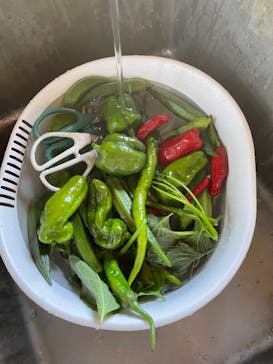 空と大地の丘森本農園に投稿された画像（2024/9/7）