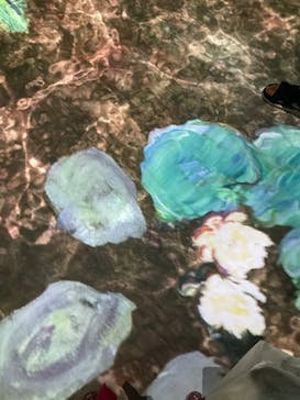 モネ＆フレンズ・アライブに投稿された画像（2024/9/7）