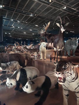 国立科学博物館に投稿された画像（2024/9/7）