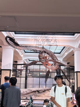 国立科学博物館に投稿された画像（2024/9/7）