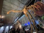 巨大恐竜展2024に投稿された画像（2024/9/7）