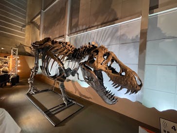巨大恐竜展2024に投稿された画像（2024/9/7）