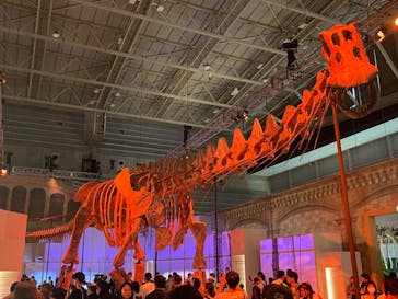 巨大恐竜展2024に投稿された画像（2024/9/7）