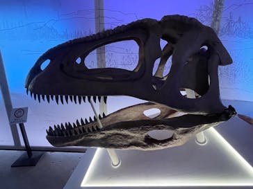 巨大恐竜展2024に投稿された画像（2024/9/7）