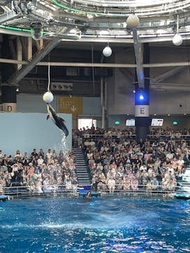 マクセル アクアパーク品川に投稿された画像（2024/9/7）