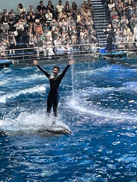 マクセル アクアパーク品川に投稿された画像（2024/9/7）