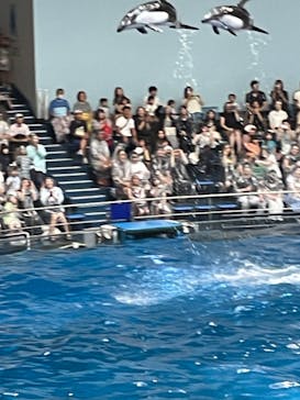 マクセル アクアパーク品川に投稿された画像（2024/9/7）