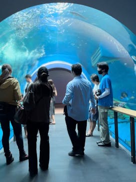 滋賀県立琵琶湖博物館に投稿された画像（2024/9/7）