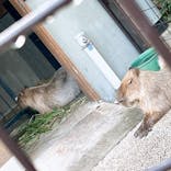 沖縄こどもの国に投稿された画像（2024/9/7）