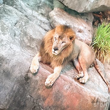 沖縄こどもの国に投稿された画像（2024/9/7）