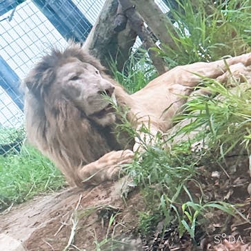 沖縄こどもの国に投稿された画像（2024/9/7）