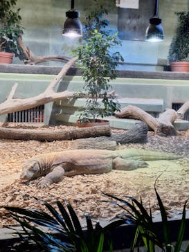 名古屋市東山動植物園に投稿された画像（2024/9/7）