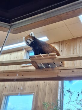 名古屋市東山動植物園に投稿された画像（2024/9/7）