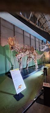 巨大恐竜展2024に投稿された画像（2024/9/7）