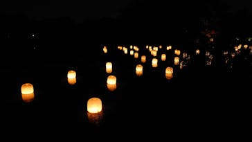 チームラボ ボタニカルガーデン 大阪に投稿された画像（2024/9/8）