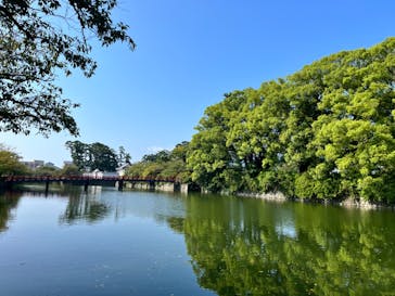 小田原城に投稿された画像（2024/9/8）