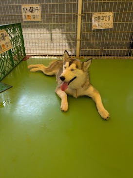 つくばわんわんランドに投稿された画像（2024/9/8）