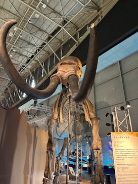 巨大恐竜展2024に投稿された画像（2024/9/8）