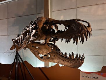 巨大恐竜展2024に投稿された画像（2024/9/8）