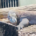 名古屋市東山動植物園に投稿された画像（2024/9/8）