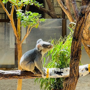 名古屋市東山動植物園に投稿された画像（2024/9/8）