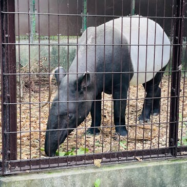 名古屋市東山動植物園に投稿された画像（2024/9/8）