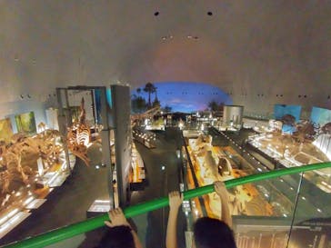 福井県立恐竜博物館に投稿された画像（2024/9/8）