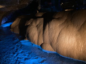 おきなわワールドに投稿された画像（2024/9/8）