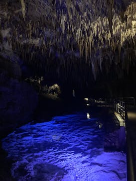 おきなわワールドに投稿された画像（2024/9/8）