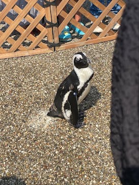 名古屋港水族館に投稿された画像（2024/9/8）