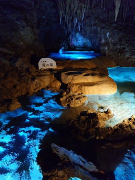 おきなわワールドに投稿された画像（2024/9/8）