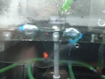 新江ノ島水族館に投稿された画像（2024/9/8）