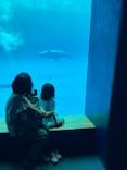 アクアワールド茨城県大洗水族館に投稿された画像（2024/9/8）