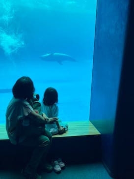 アクアワールド茨城県大洗水族館に投稿された画像（2024/9/8）