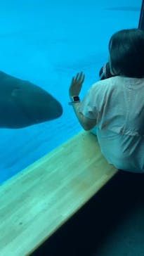 アクアワールド茨城県大洗水族館に投稿された画像（2024/9/8）