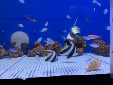 浜名湖体験学習施設ウォットに投稿された画像（2024/9/8）