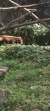 多摩動物公園に投稿された画像（2024/9/8）