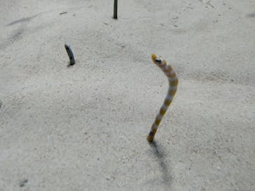 アクアワールド茨城県大洗水族館に投稿された画像（2024/9/8）