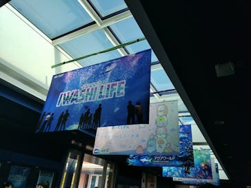 アクアワールド茨城県大洗水族館に投稿された画像（2024/9/8）