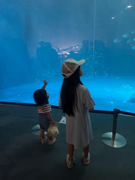 名古屋港水族館に投稿された画像（2024/9/8）