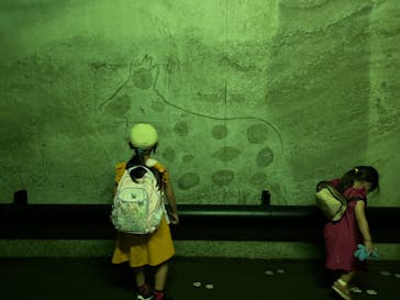 清津峡渓谷トンネルに投稿された画像（2024/9/8）