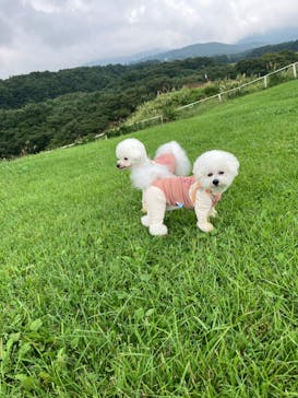 那須どうぶつ王国に投稿された画像（2024/9/8）