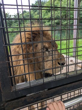 那須サファリパークに投稿された画像（2024/9/8）