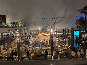 福井県立恐竜博物館に投稿された画像（2024/9/8）