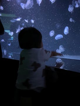 サンシャイン水族館に投稿された画像（2024/9/8）