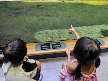 滋賀県立琵琶湖博物館に投稿された画像（2024/9/8）