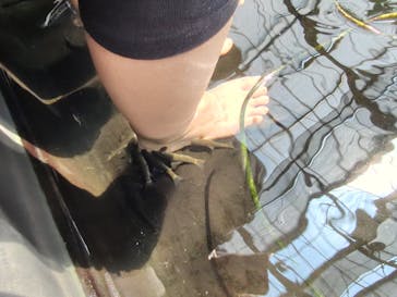 神戸どうぶつ王国に投稿された画像（2024/9/8）