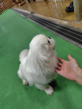 神戸どうぶつ王国に投稿された画像（2024/9/8）