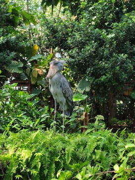 神戸どうぶつ王国に投稿された画像（2024/9/8）