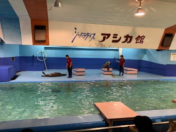 ゼロ距離水族館 伊勢シーパラダイスに投稿された画像（2024/9/8）